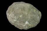 Keokuk Geode with Calcite Crystals - Missouri #135666-1